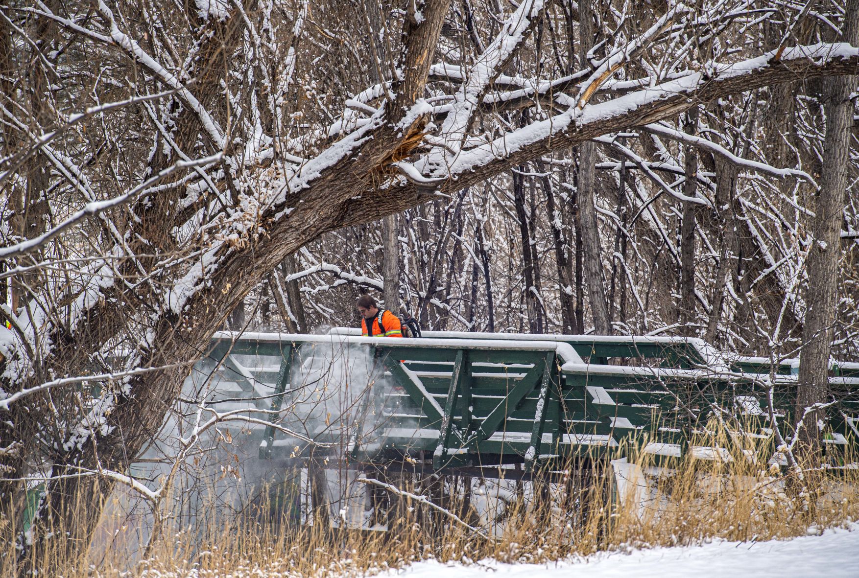 02_04_20 snow0509.jpg